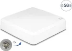 Kryptinė lauko antena DELOCK 81467 &mdash; 5G, 2&times; N jungtys, balta