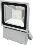 LED prožektorius EUROLITE FL-100 6400K, 100 W ekvivalentas, dienos &scaron;viesa 6400 K