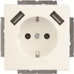 Busch-Jaeger SCHUKO-2x USB ki&scaron;tukinis lizdas 20 EUCB2USB-884 (2CKA002011A6277)