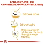 Sausas &scaron;unų ėdalas Royal Canin Shih Tzu Adult 1,5 kg &ndash; pauk&scaron;tiena, 24% baltymų, 20% riebalų, suaugusiems mažiems &scaron;unims