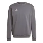 adidas Entrada 22 prakaituojantis megztinis pilkas S | Kur.lt