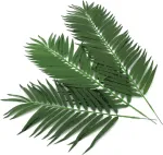 EUROPALMS dirbtinės kokospalmės lapų &scaron;akelės, 80 cm, 12 vienetų rinkinys 82509895