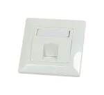 Synergy 21 Keystone Module Carrier Flush-Mount Wall Plate for 1x TP Module, Pure White, Square Outer Frame (S216322V2)