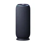 Mono ne&scaron;iojamas garsiakalbis Motorola moto sound flow Carbon &ndash; 30 W RMS, USB-C, belaidis, audinio korpusas