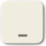 Busch-jaeger 2CKA006599A2815 Baltas