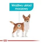 Royal Canin Mini Urinary Care CCN sausas &scaron;unų maistas, 3 kg
