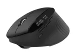 Acer Smart Fit Vertical Mouse HP.EXPBG.020, belaidė/Bluetooth 5.0, 8000 DPI, juoda