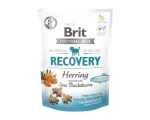 Brit Care Dog Recovery&Herring - Dog Treat - 150 g