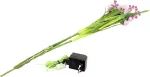 EUROPALMS Arum Lily 3 dalių rinkinys su LED, rožinis, 85cm 83330304