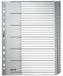 Leitz 12810000 Skaitmeninės kortelės skirtukai Kartonas Pilka