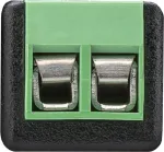 Wentronic 76741 2 kontaktų RCA juodas - žalias laido sąsajos adapteris