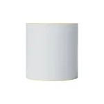 Brother nuolatinės tiesioginės termo etikečių ritinėlis, baltas, lipnios etiketės, 10,2 cm, TD-4410D, TD-4420DN, TD-4520DN, TD-4550DNWB