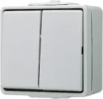 JUNG 605 W - Drucktasten-Schalter - 2P - Verkabelt - Grau - Duroplast - 250 V