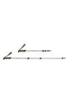 SALEWA Cactus Trekking Poles