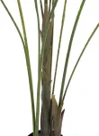 EUROPALMS Gro&szlig;blatt-Areca dirbtinė Areca palmė, 185 cm (82509442)