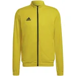 adidas Entrada 22 sportinis &scaron;varkas geltonas/juodas vyrams M HI2134