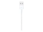 Apple Lightning į USB kabelis 1 m MUQW3ZM/A