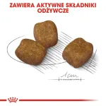 Sausas &scaron;unų ėdalas Royal Canin Mini Dental Care 3 kg &ndash; suaugusioms mažų veislių &scaron;unims, pauk&scaron;tienos skonio, dantų priežiūrai
