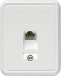 TELEG&Auml;RTNER ant sienos montuojamas RJ45 lizdas 1xRJ45 neekranuotas, Cat. 5e (A0174)