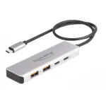 DeLOCK USB Hub USB Type-C 10 Gbps 2x Type-A 2x Type-C 35 cm kabelis