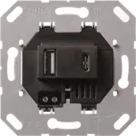 Gira USB maitinimo &scaron;altinis 2-jų lizdų Type A/C įdėklas 236900 (236900)