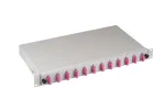 EFB Elektronik B71203L24OM4 &Scaron;viesolaidinė sujungimo dėžė SC 50/125 &micro;m OM4, i&scaron;traukiama, 24 pigtailai / 12 adapterių