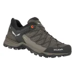 Salewa Mountain Trainer Lite GTX vyri&scaron;ki žygiavimo batai