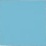 Thermal Grizzly Minus Pad Pro terminė pagalvėlė 100 x 100 x 0.5 mm
