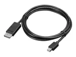 Lenovo 2 m Mini-DisplayPort į DisplayPort monitoriaus laidas