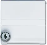 Busch Jaeger 2118 GKSLN/11-34 White (1710-0-3793)