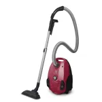 Cikloninis dulkių siurblys Electrolux EPF61RR