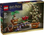 LEGO Harry Potter 76474 Hogvartso Žolininkystės augalai (817 dalių)