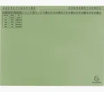 Exacompta 371125B Conventional File Folder &ndash; kartoninis segtuvas, žalias, 320 g/m&sup2;, 265&times;316 mm