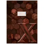 HERMA Heftschoner X, kartoninis vir&scaron;elis, DIN A4, rudas, su žymėjimo lauku, 10 vienetų (20092)