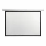 Projektoriaus ekranas Sbox PSA-4:3-100 (200x150cm)