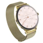 I&scaron;manusis laikrodis Garett Verona 2 Gold Mesh su Bluetooth ir &scaron;irdies ritmo matuokliu