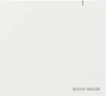 BUSCH JAEGER System Access Point 3.0 Wireless SAP.13-WL (2CKA006200A0967)