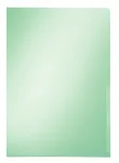 Leitz Premium dokumentų įmautė, A4, PVC, žalia, 0,15 mm (4100-00-55)