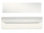 Leitz etikečių laikiklis Snap on su etikete Plus dėklams, skaidrus, 55x15 mm