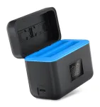 Newell STD-USB dviejų kanalų akumuliatorių įkroviklis, skirtas Insta360 X4 CINSBBMA