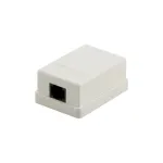 DSIT DS-Wall-Out-UTP5-I pavir&scaron;inio montavimo Cat5e UTP RJ45 rozetė, dramblio kaulo spalvos