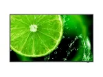 NEC MultiSync E438 Skaitmeninės reklamos plok&scaron;čias ekranas 108 cm (42,5 colio) LCD 350 cd/m&sup2; 4K Ultra HD Juoda 16/7