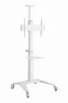 Gembird TVS-70T-02-W Grindinis stovas televizoriui 37-70 colių baltas