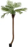 EUROPALMS Luxor lenkta dirbtinė finikų palmė, 240cm 82510726