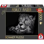 Ashley Rader: Speed - Gepard, In the Sign of Grace, Dėlionė 1000 Detalių