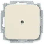 BUSCH-JAEGER Blindabdeckung 2538-212 Duro 2000 SI Tragring weiss 2538-212 (1715-0-0218)