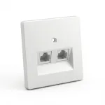 BUSCH JAEGER BJ 1803-02-915 Zentralscheibe 2-fach Busch-balance SI 2CKA001753A0216 (2CKA001753A0216)