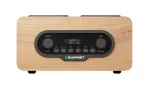Ne&scaron;iojamas radijas BLAUPUNKT DR10CR DAB+/FM, Bluetooth 5.3, LCD, 2W, 1800 mAh baterija, teleskopinė antena