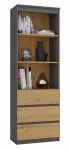 Biuro spintelė knygoms top e shop RS-60 ANT/ART KPL &mdash; 3 lentynos, medžio drožlių plok&scaron;tė, 600&times;350&times;1800 mm