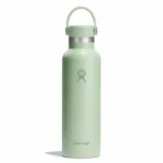 Hydro Flask 620 ml Standard Flex Cap 21 OZ Aloe